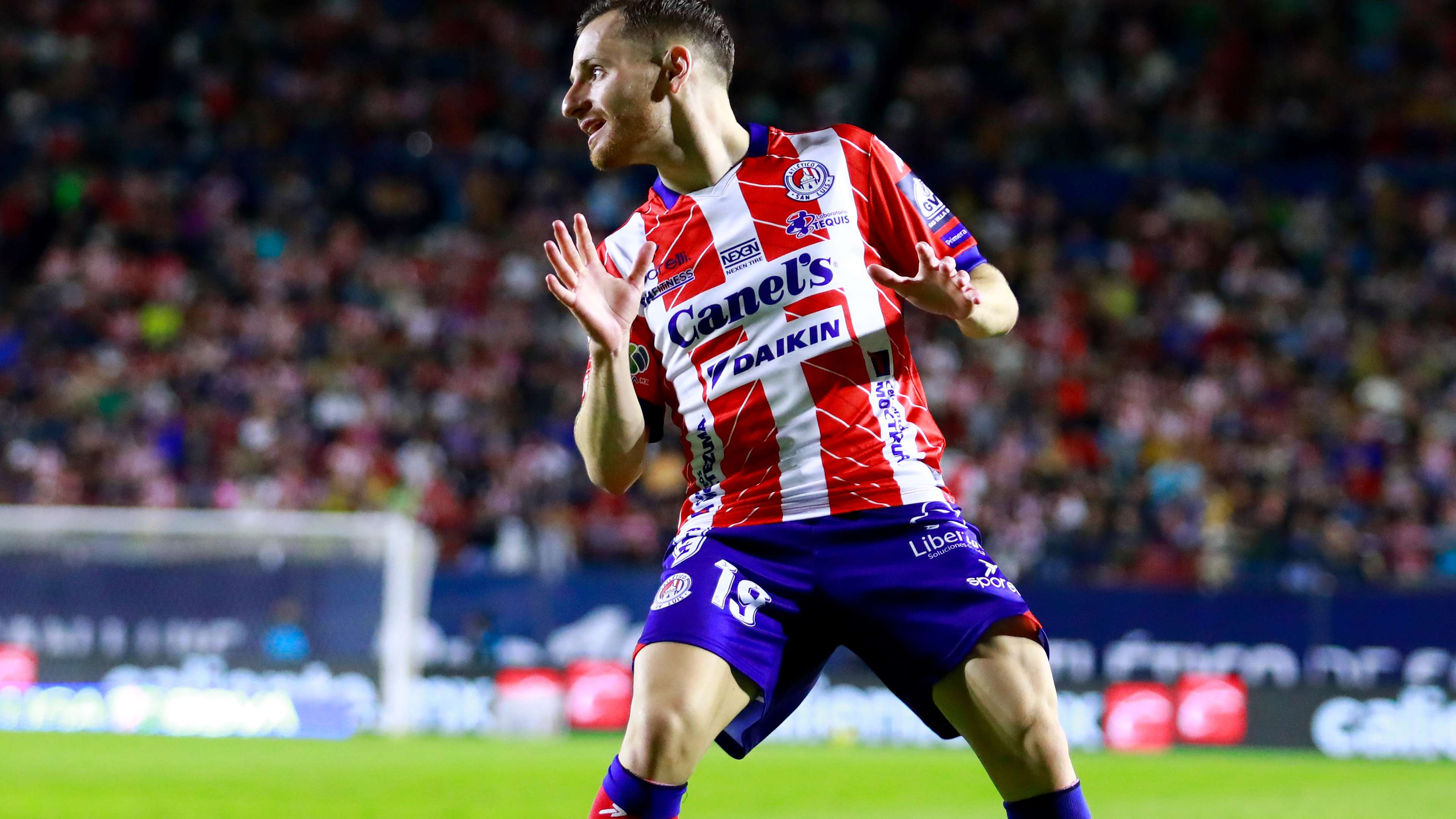 仅代表着对 仅代表着对