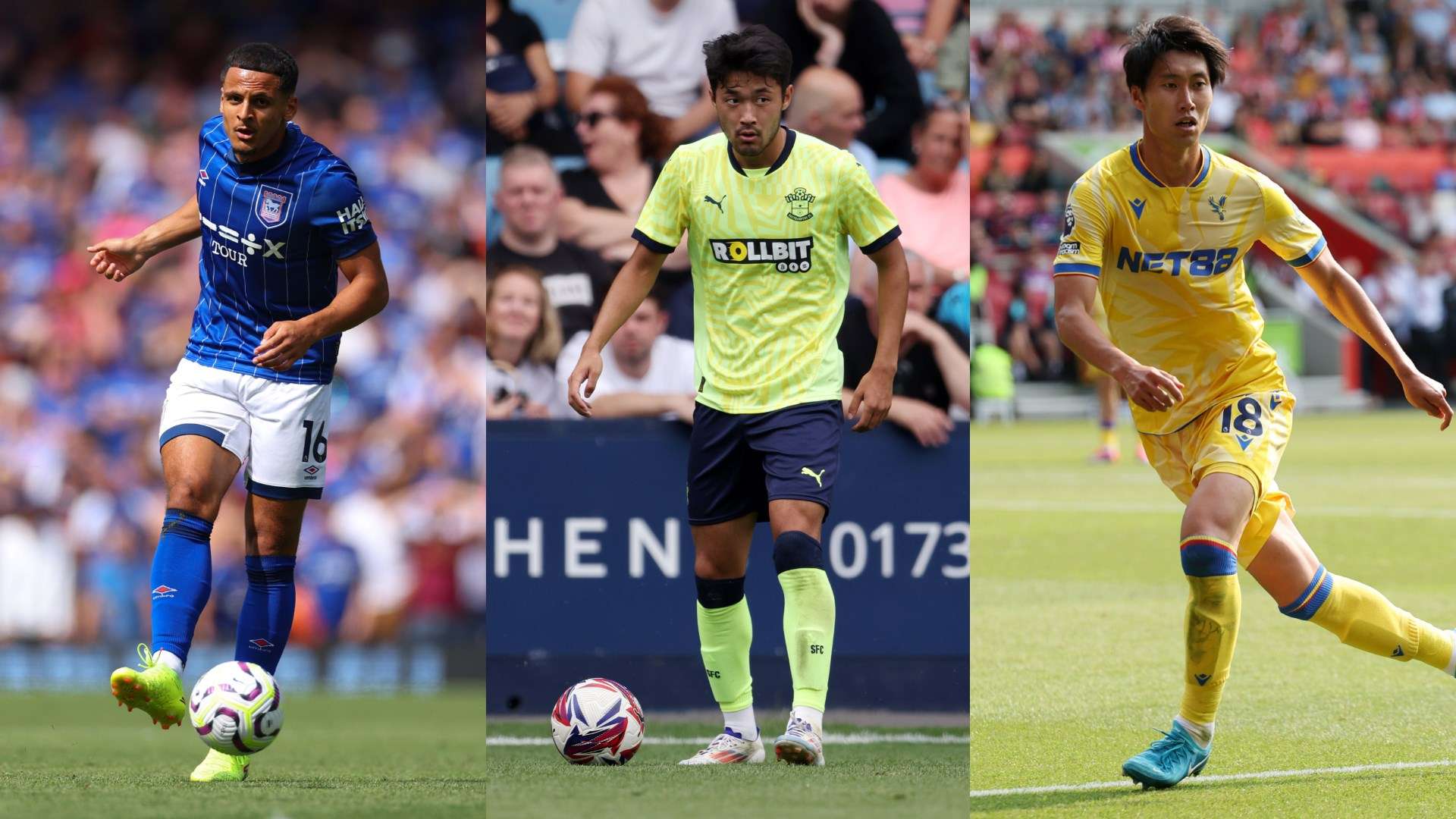 球探网络 球探网络