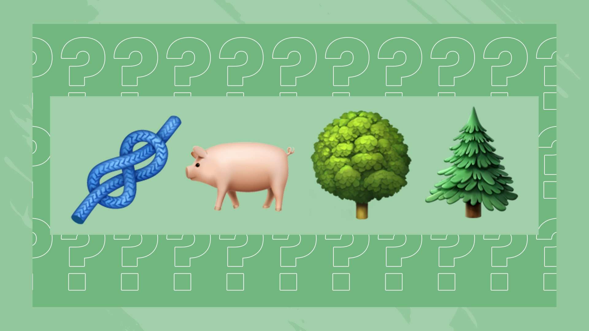 灵活的传球 灵活的传球